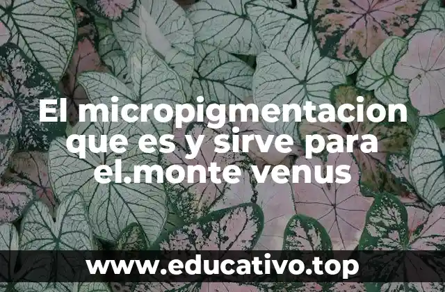 El micropigmentacion que es y sirve para el.monte venus