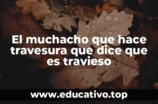 El muchacho que hace travesura que dice que es travieso