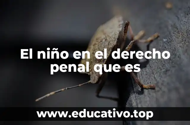 El niño en el derecho penal que es