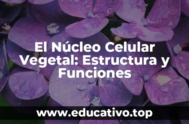El Núcleo Celular Vegetal: Estructura y Funciones