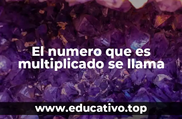 La importancia del multiplicando en la educación matemática
