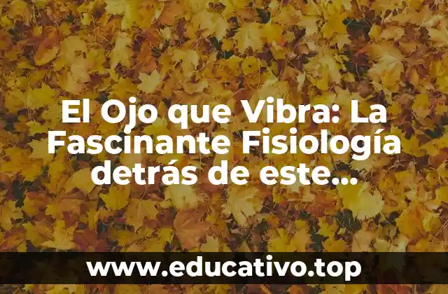 El Ojo que Vibra: La Fascinante Fisiología detrás de este Fenómeno