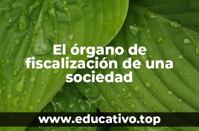 El órgano de fiscalización de una sociedad