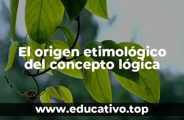 El origen etimológico del concepto lógica