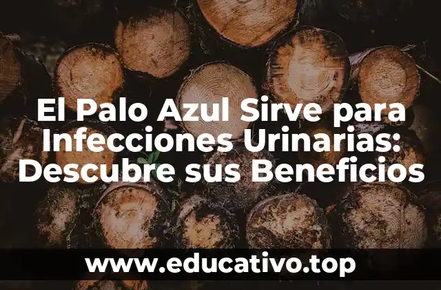 El Palo Azul Sirve para Infecciones Urinarias: Descubre sus Beneficios