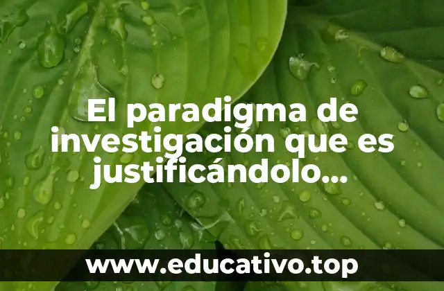 El paradigma de investigación que es justificándolo conceptualmente
