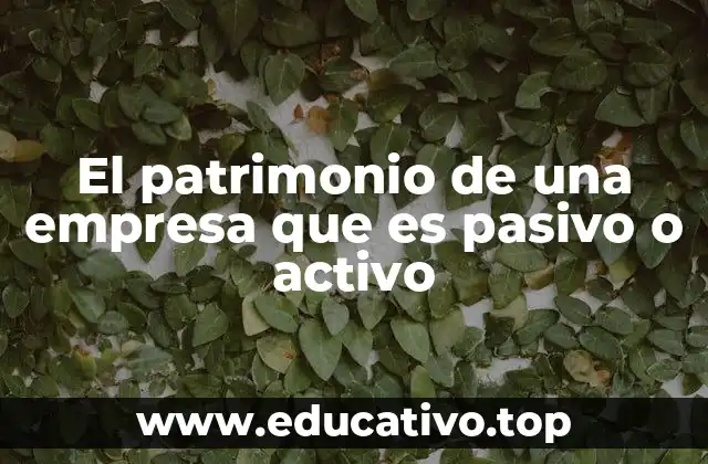 El patrimonio de una empresa que es pasivo o activo