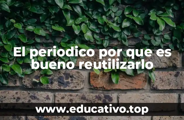 El papel del periódico en la sostenibilidad doméstica