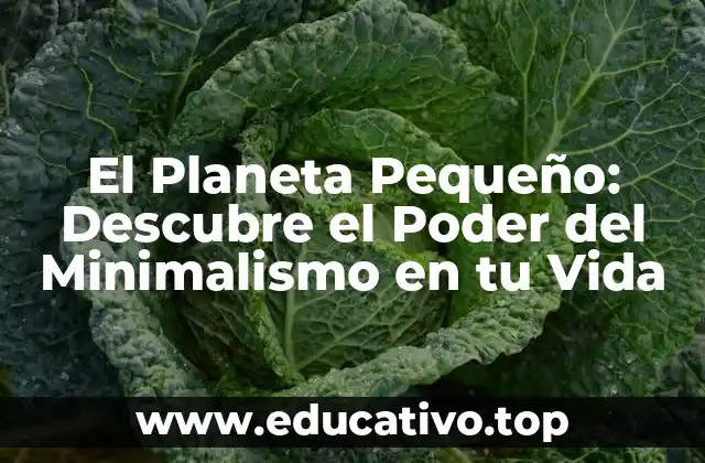 El Planeta Pequeño: Descubre el Poder del Minimalismo en tu Vida