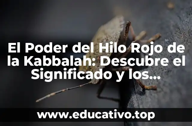 El Poder del Hilo Rojo de la Kabbalah: Descubre el Significado y los Beneficios
