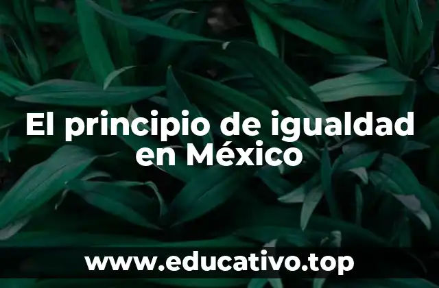 El principio de igualdad en México