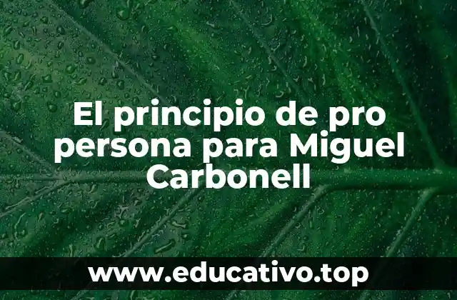 El principio de pro persona para Miguel Carbonell