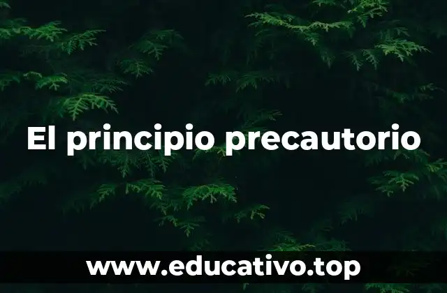 El principio precautorio