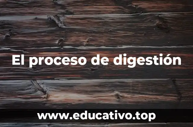 El proceso de digestión