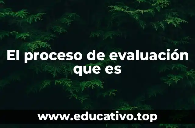 El proceso de evaluación que es