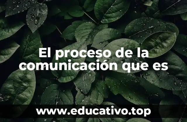 El proceso de la comunicación que es