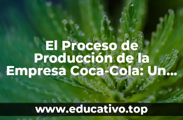 El Proceso de Producción de la Empresa Coca-Cola: Un Vistazo Detrás de Escena