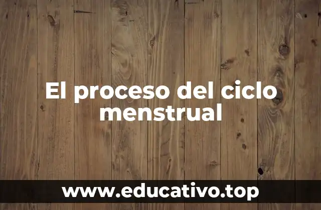 El proceso del ciclo menstrual