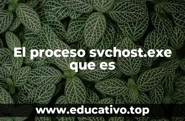 El proceso svchost.exe que es