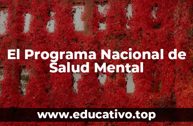 El Programa Nacional de Salud Mental