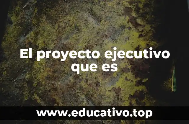 El proyecto ejecutivo que es