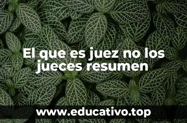 El que es juez no los jueces resumen