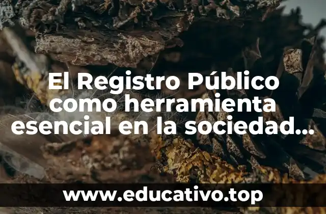 El Registro Público como herramienta esencial en la sociedad moderna