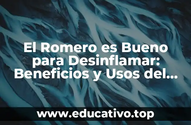 El Romero es Bueno para Desinflamar: Beneficios y Usos del Romero para la Salud