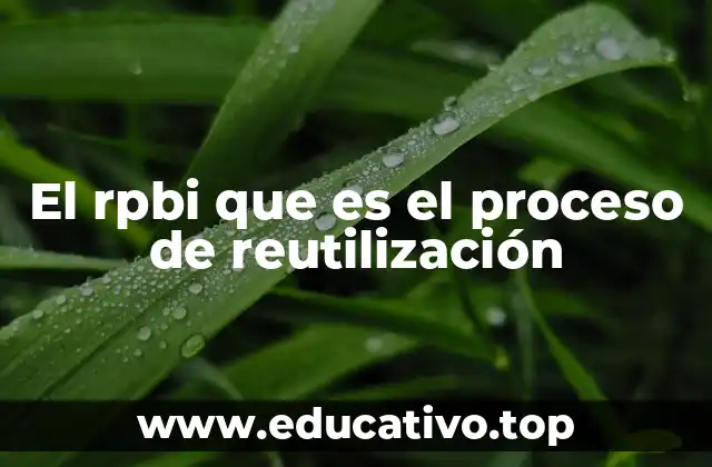 El rpbi que es el proceso de reutilización