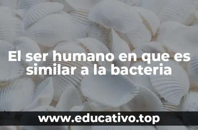 El ser humano en que es similar a la bacteria