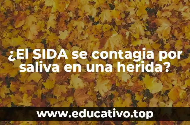 ¿El SIDA se contagia por saliva en una herida?