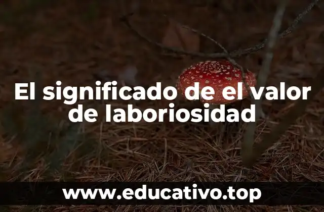 El significado de el valor de laboriosidad