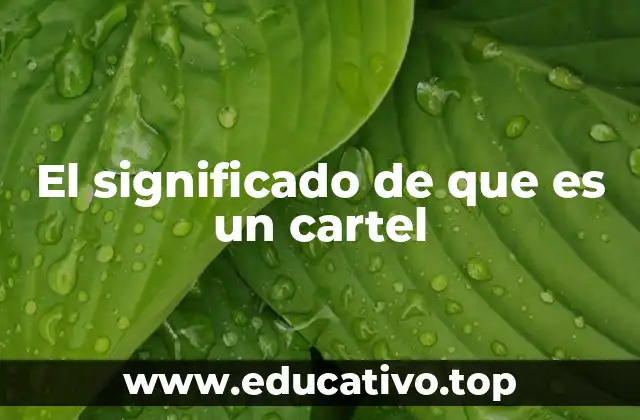 El significado de que es un cartel