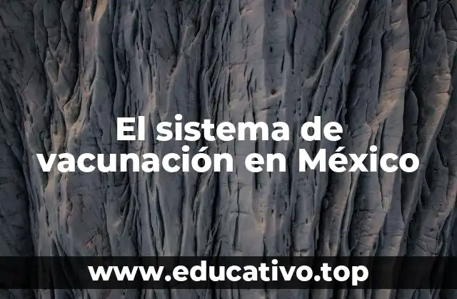 El sistema de vacunación en México