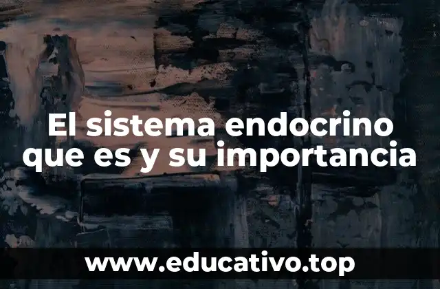 El sistema endocrino que es y su importancia