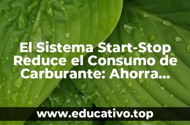 El Sistema Start-Stop Reduce el Consumo de Carburante: Ahorra Combustible con Tecnología Avanzada