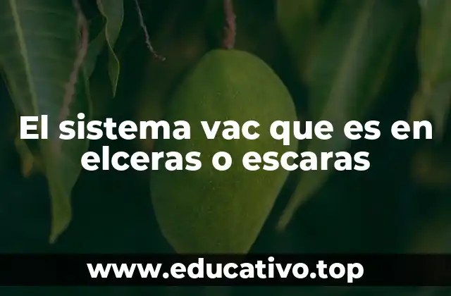 El sistema vac que es en elceras o escaras