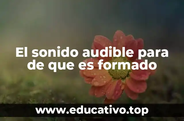 El sonido audible para de que es formado