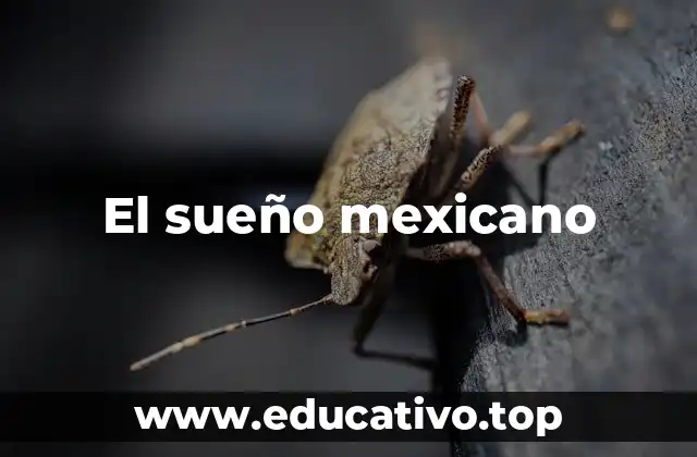 El sueño mexicano