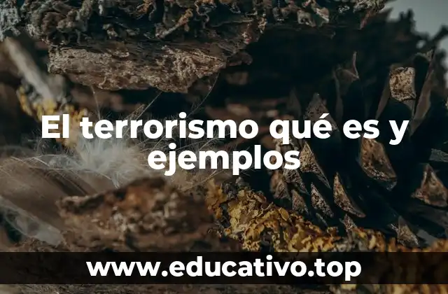 El terrorismo qué es y ejemplos