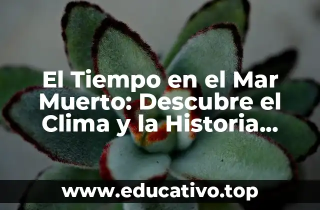 El Tiempo en el Mar Muerto: Descubre el Clima y la Historia detrás de este Lugar Místico