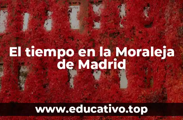 El tiempo en la Moraleja de Madrid