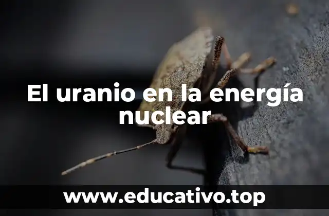El uranio en la energía nuclear