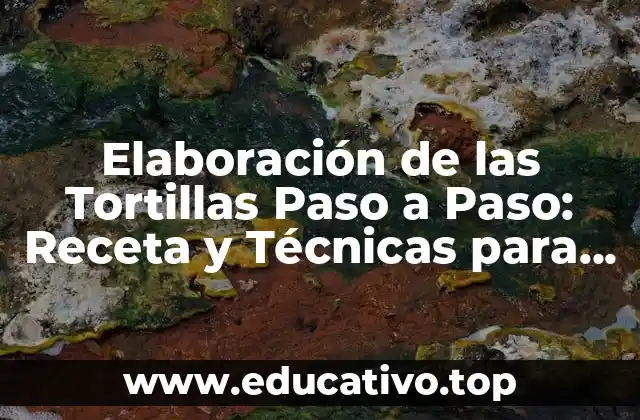 Elaboración de las Tortillas Paso a Paso: Receta y Técnicas para Tortillas Perfectas