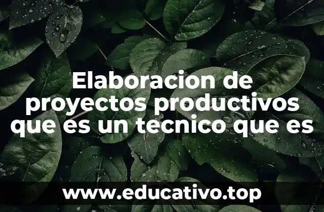 Elaboracion de proyectos productivos que es un tecnico que es