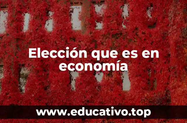 Elección que es en economía