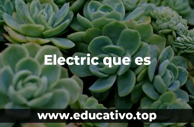 Electric que es