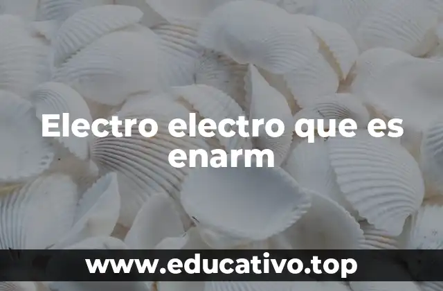 Electro electro que es enarm