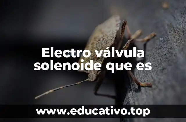 Electro válvula solenoide que es