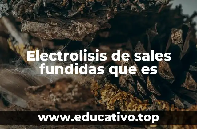 Electrolisis de sales fundidas que es